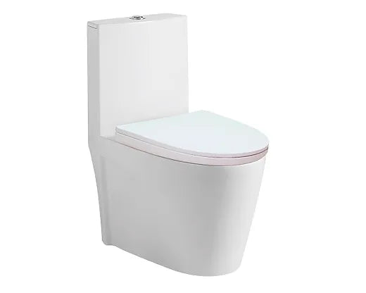 TOILETTE MONOPIECE THOR 6L1000G BLANC